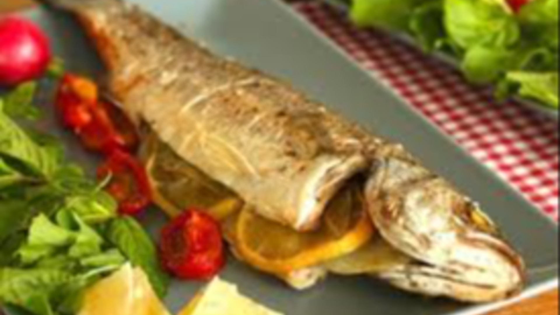 Sea Bass