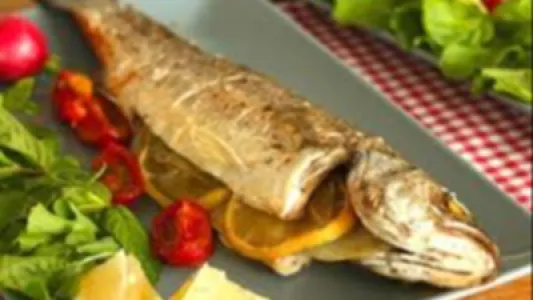 Sea Bass