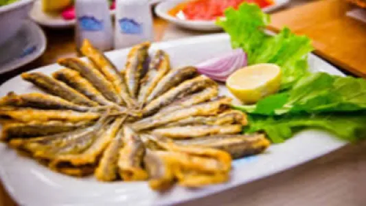 Anchovy