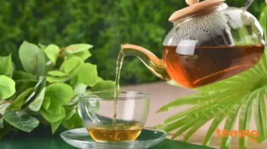 Papatya, Kekik, Yeşil Çay, Elma-Tarçın, Bergamot